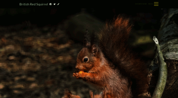 britishredsquirrel.org