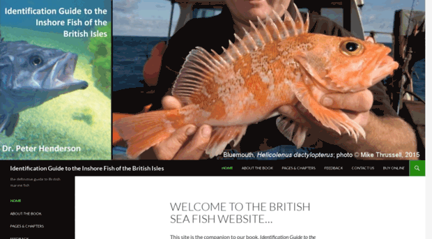 britishseafish.com