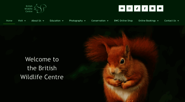 britishwildlifecentre.co.uk