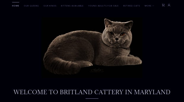 britlandcattery.com