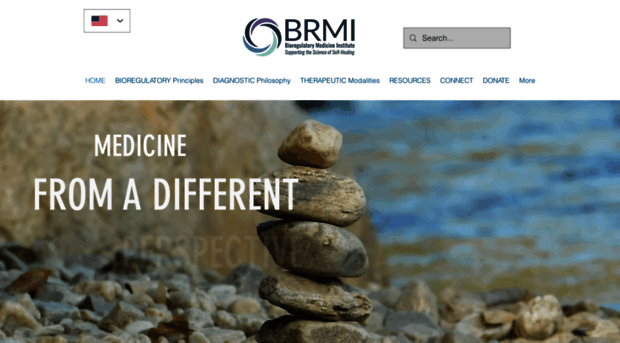 brmi.online