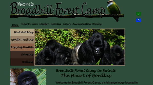 broadbillforestcamp.com