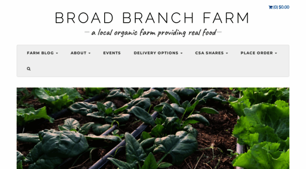 broadbranchfarm.com