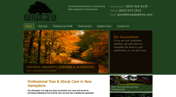 broadoaktree.com