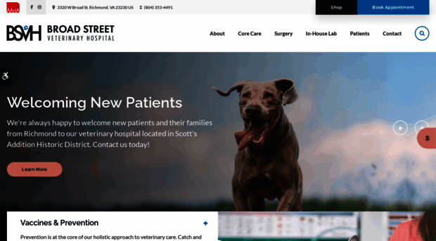 broadstreetvet.com