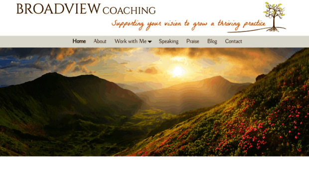 broadviewcoaching.com