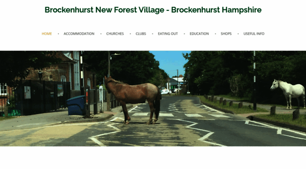 brockenhurst-newforest.org.uk