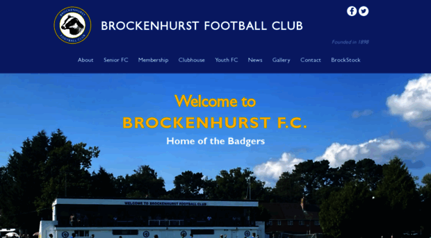 brockenhurstfc.co.uk