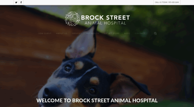 brockstreetanimalhospital.ca