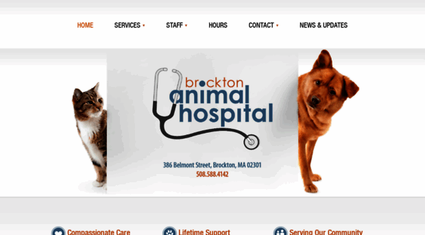 brocktonanimalhospital.com