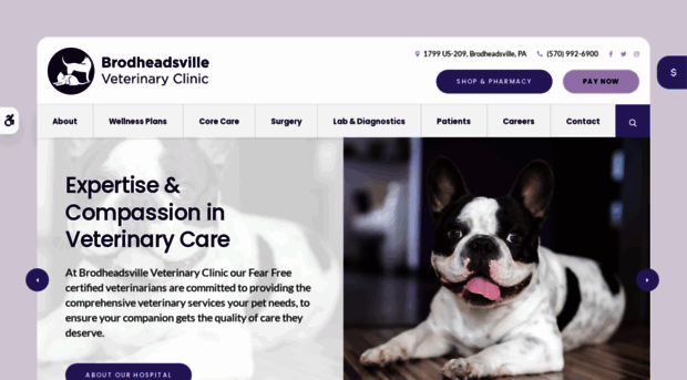 brodheadsvillevet.com