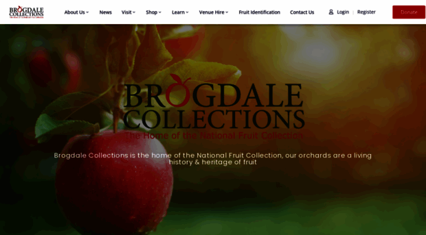 brogdalecollections.org