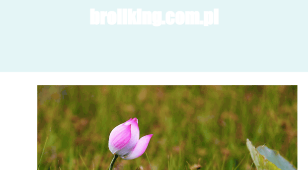 broilking.com.pl