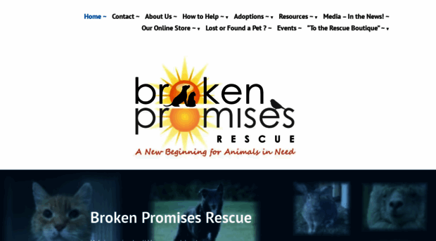 brokenpromisesrescue.com