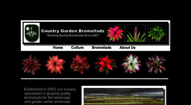 bromeliadworld.com