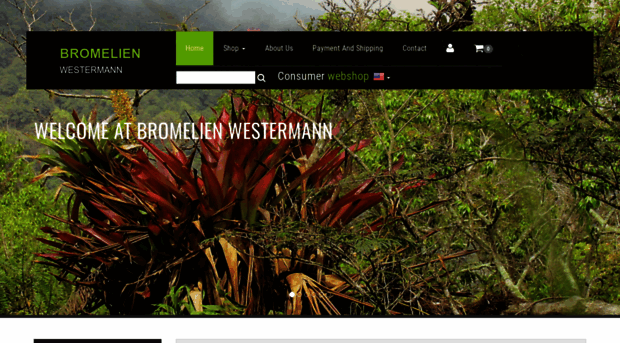 bromelien-westermann.eu