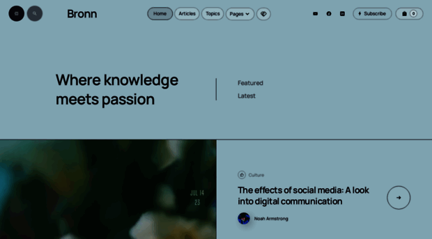bronn-blog-template.webflow.io