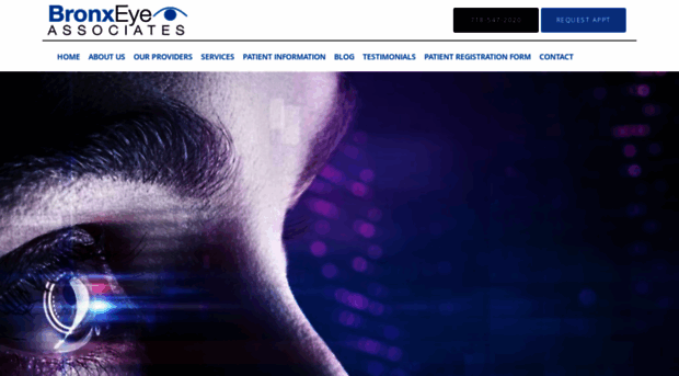 bronxeye.net