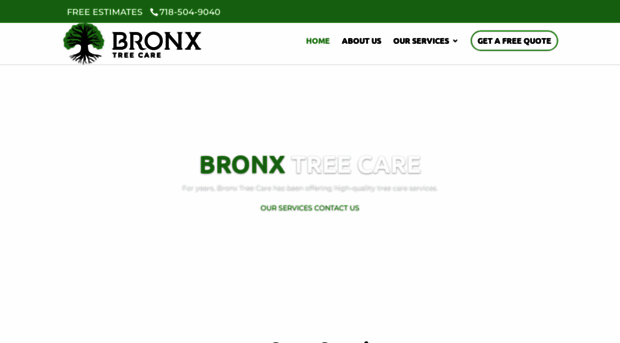 bronxtreecare.com