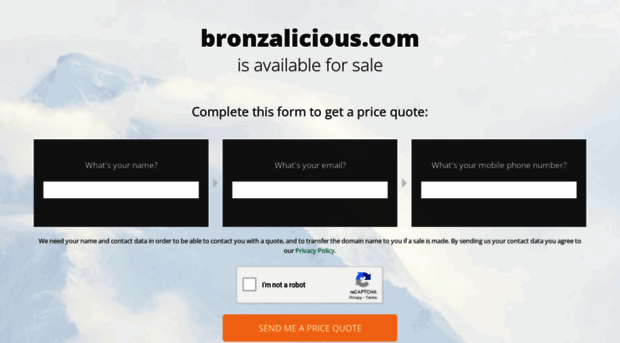 bronzalicious.com