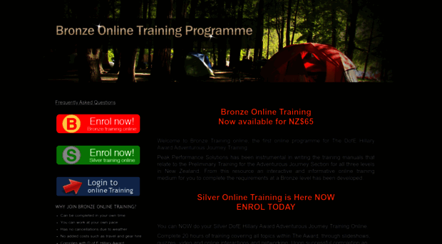 bronzetraining.com