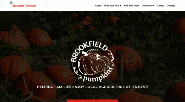 brookfieldpumpkins.com