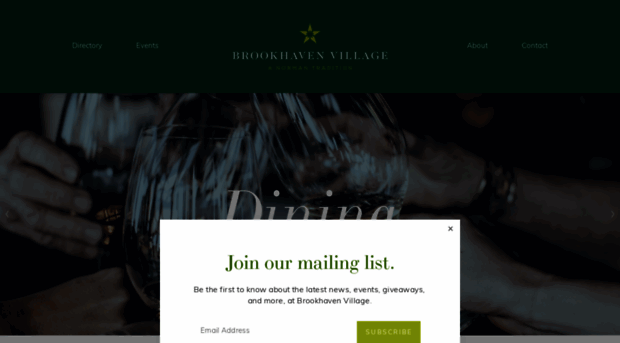 brookhaven-village.com