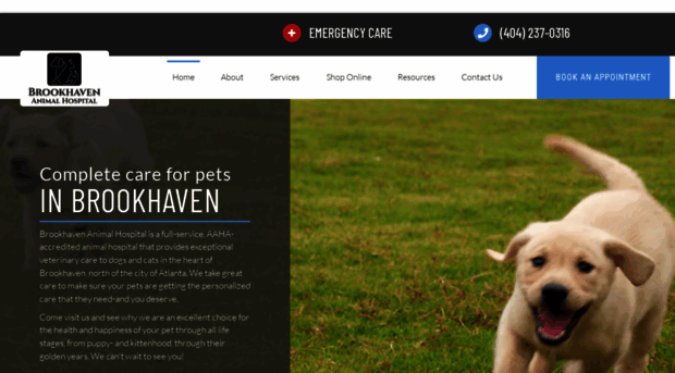 brookhavenanimalhospital.com