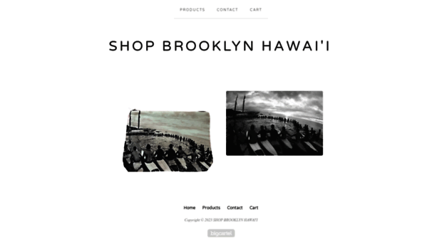 brooklynhawaii.bigcartel.com