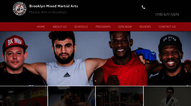 brooklynmixedmartialarts.com