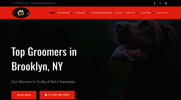 brooklynpetspa.com
