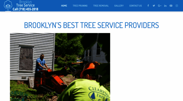 brooklyntreeservices.com