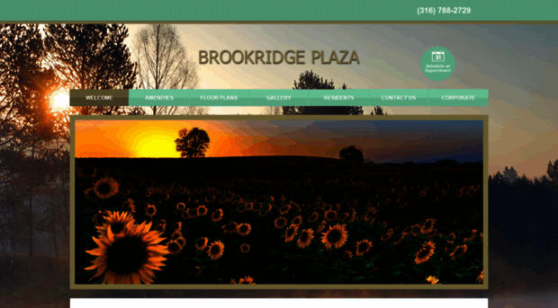 brookridgeplaza.com