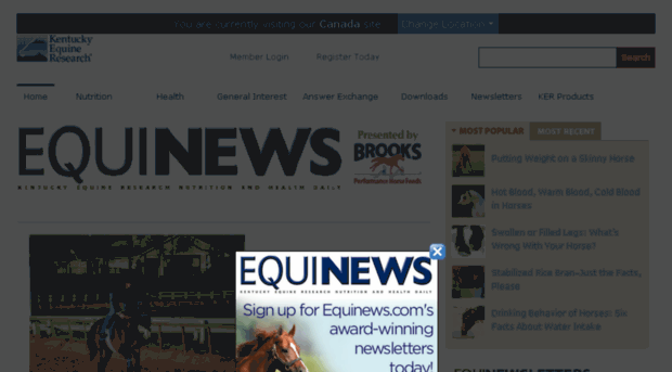 brooks.equinews.com