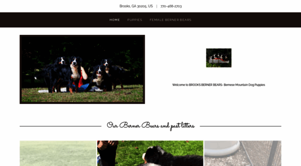 brooksbernerbears.com