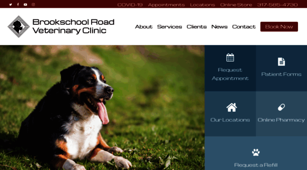 brookschoolroadvetclinic.com