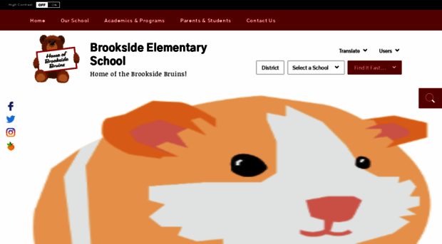 brooksidees.org