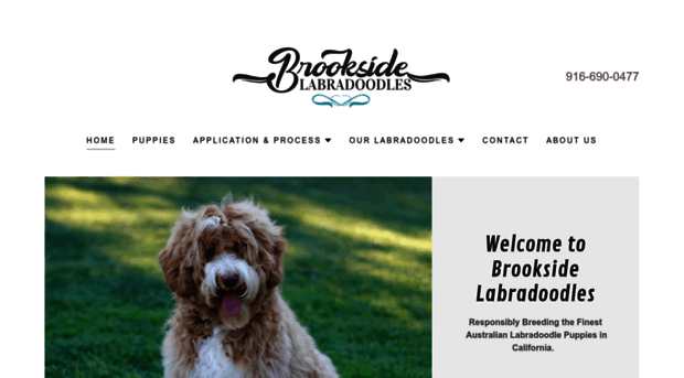 brooksidelabradoodles.com