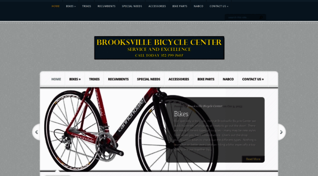 brooksvillebicycle.com