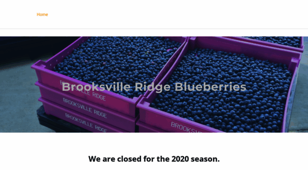 brooksvilleblueberries.com