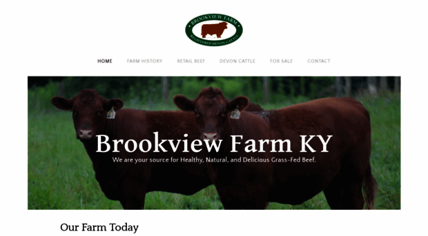 brookviewfarmky.com