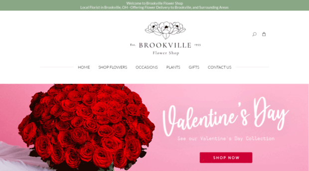 brookvilleflowershop.com