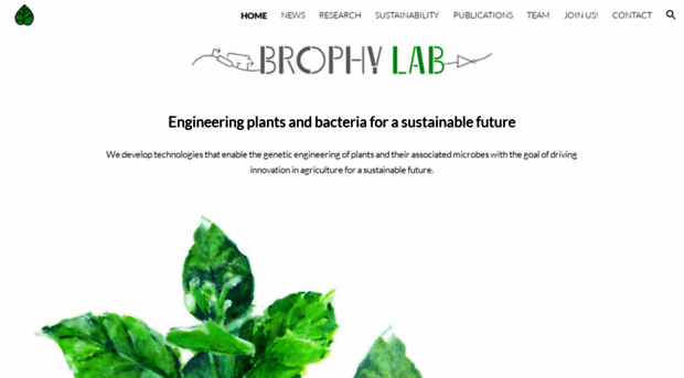 brophylab.org