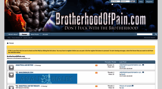 brotherhoodofpain.com