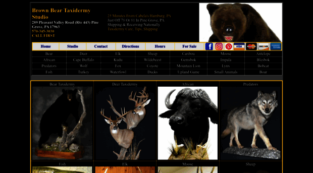 brownbeartaxidermy.com