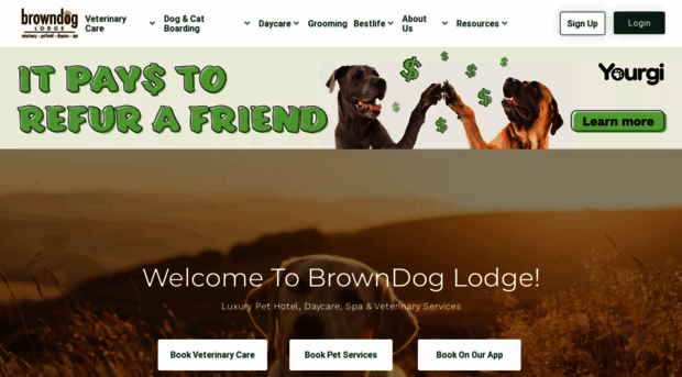 browndogvet.com