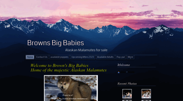 brownsbigbabies.com