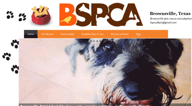 brownsvillespca.com