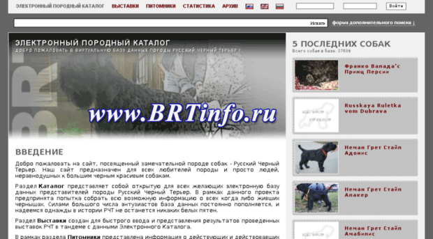 brtinfo.ru