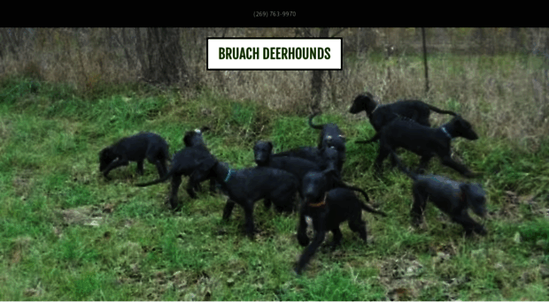 bruachdeerhounds.com